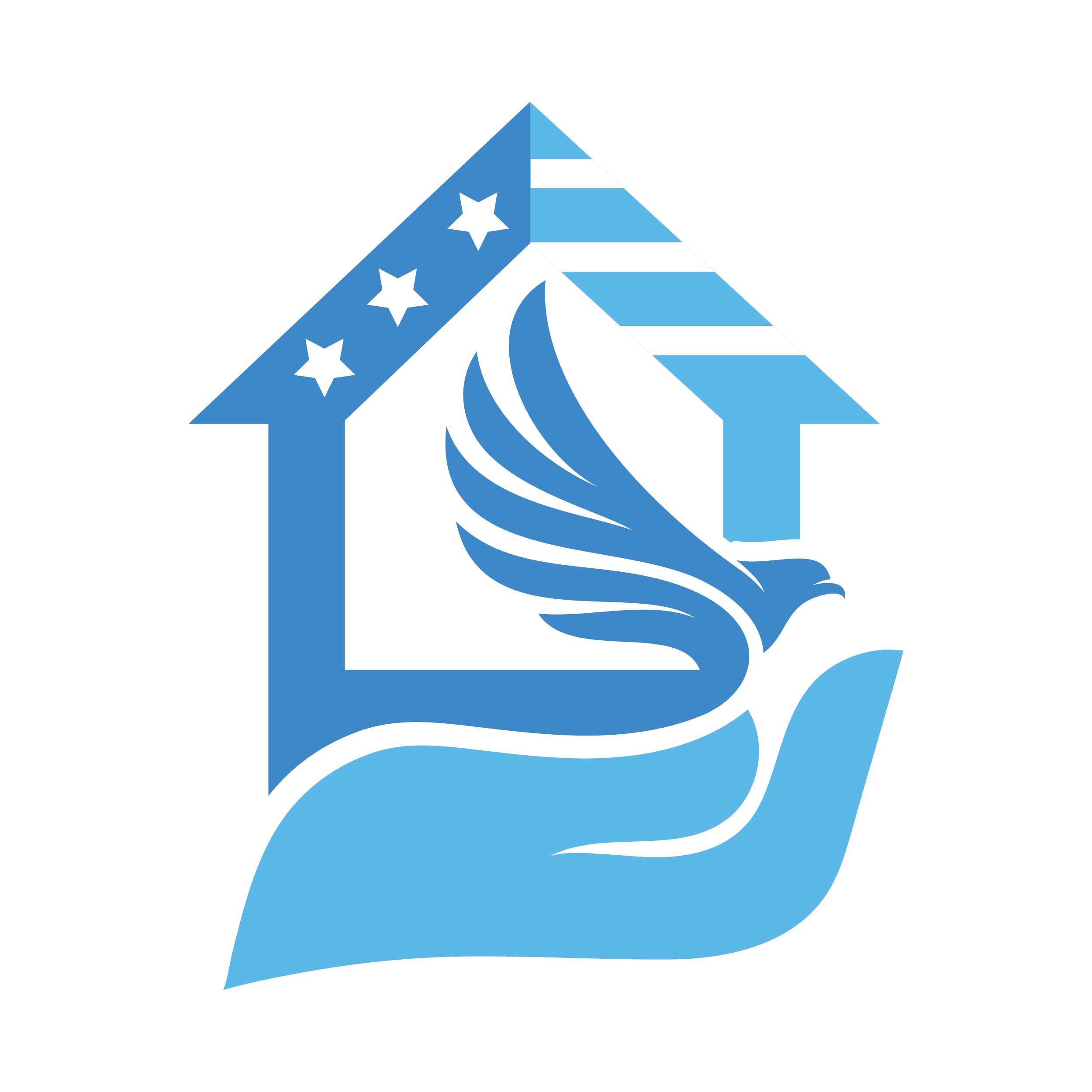 VSH Logo Mark Full Color